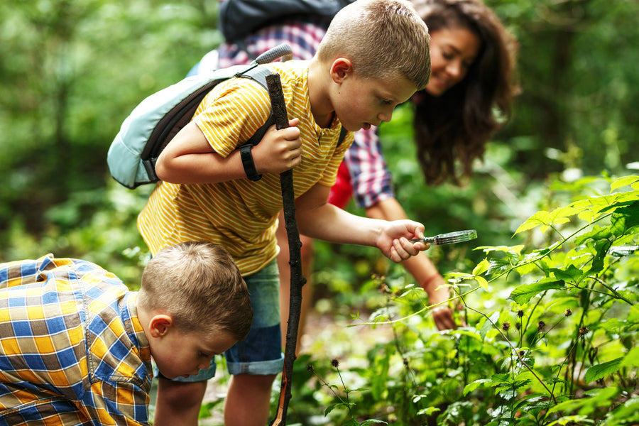 How to Encourage Young Children to Enjoy Nature